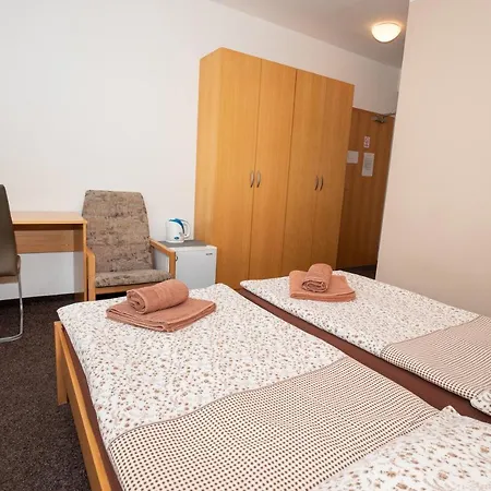 Guest house Maxim 2*