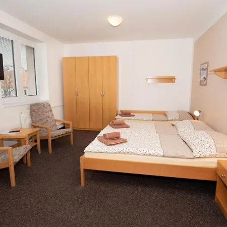 Maxim Guest house Trebon