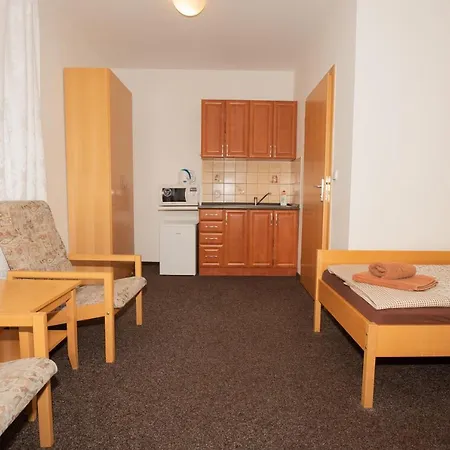 Maxim Guest house Trebon